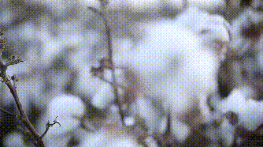 🔥 AirLite Ultra-Comfort Men’s Smart Casual Suit Jacket